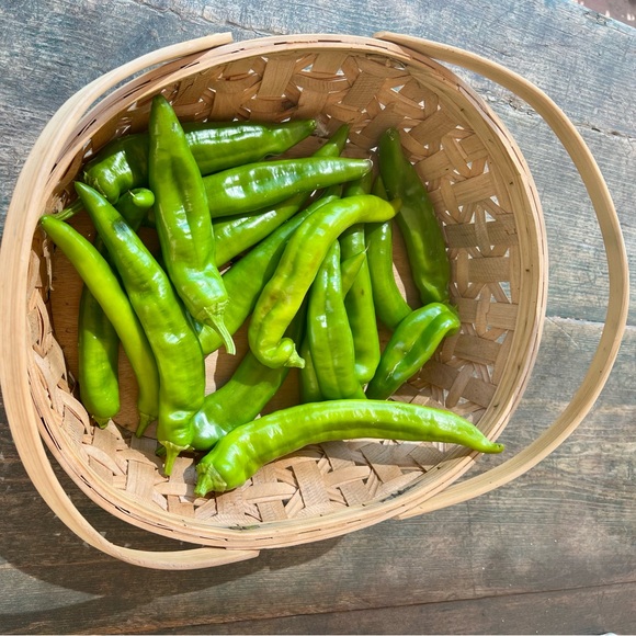 Meet your Posher, Debranne - Picture 10 of 15